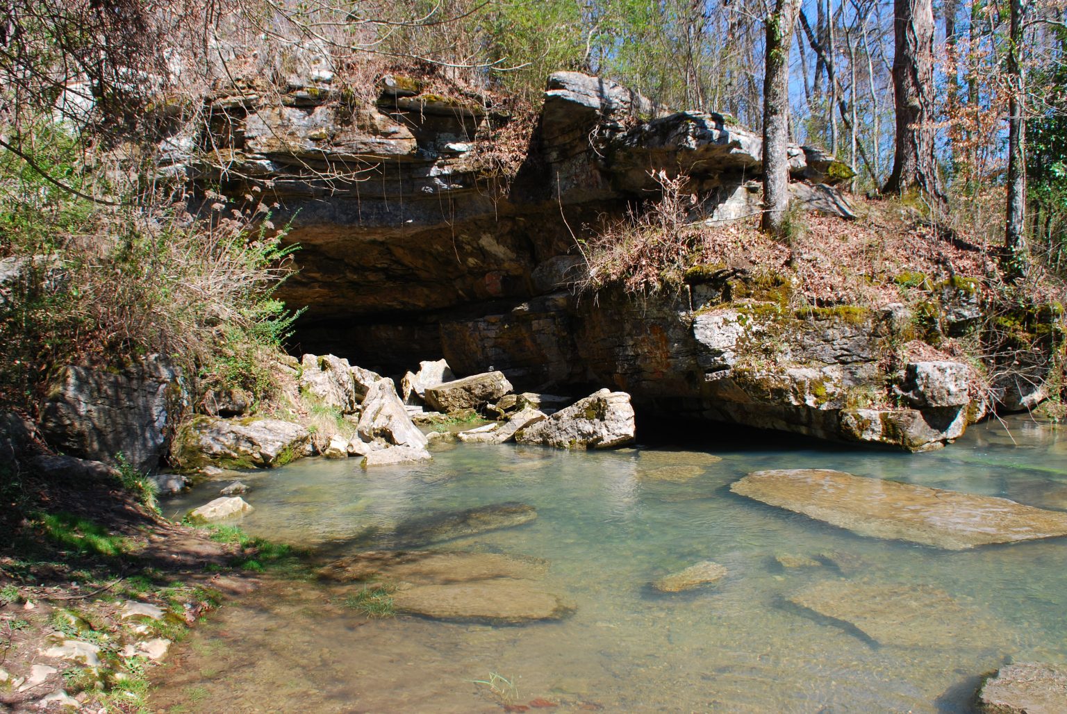 Biodiversity at Sequatchie Cave State Natural Area Chattanooga Region