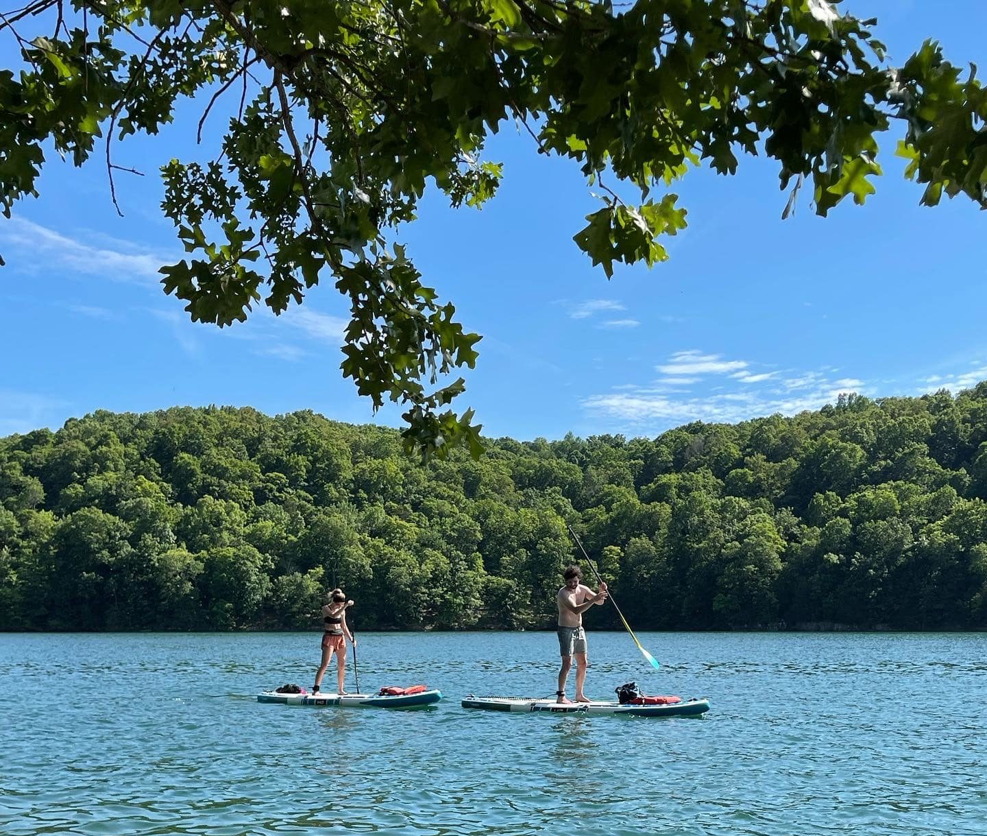Memorial Day Weekend Group SUP from Blythe Ferry Boat Ramp to Hiwassee Wildlife Reserve